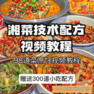 【0.01秒发】98道湘菜技术配方视频教程商用湖南菜炒菜特色小吃|淘宝虚拟仓