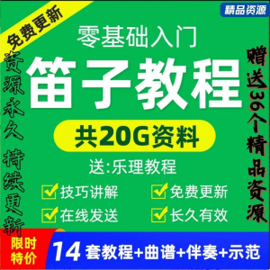 零基础笛子教程自学入门进阶视频初学者教学成人儿童学竹笛教材全|淘宝虚拟仓