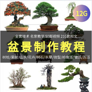 盆景制作技术视频教程工艺教学果树桩山水微型造型全套|淘宝虚拟仓
