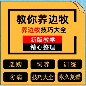 边牧训练方法教程边境牧羊犬驯养技术饲养喂养选购训犬技巧大全套|淘宝虚拟仓