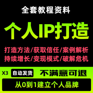 个人IP打造教程如何快速打造个人IP社交品牌定位训练营资料大全新|淘宝虚拟仓