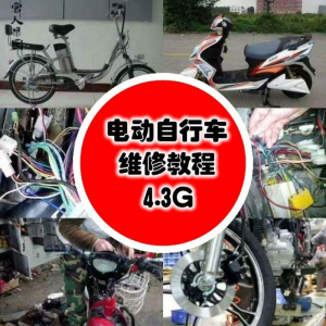学电动车维修技术电动自行车维修技术电瓶修复技巧视频教程教学|淘宝虚拟仓