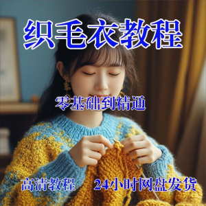 手工织毛衣视频零基础传统棒针钩针毛线编织婴儿童全套|淘宝虚拟仓