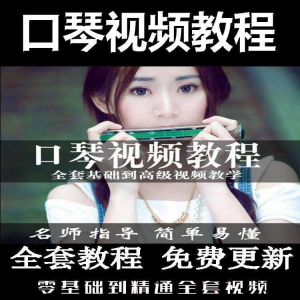 口琴自学教程视频零基础初学者入门到专业十孔24孔教学|淘宝虚拟仓