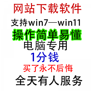 扒站扒网站扒网页扒全站下载修改下载软件克隆工具抓取拷贝单页|淘宝虚拟仓