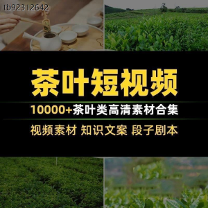 茶叶茶业茶具茶道茶艺茶文化知识文案茶园采茶泡茶高清短视频素材|淘宝虚拟仓