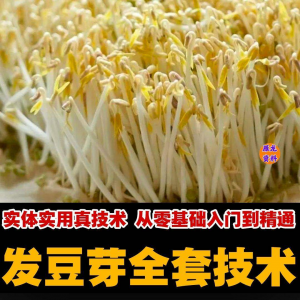 自学发豆芽技术资料豆芽加工制作方法教学 培育豆芽商用视频教程|淘宝虚拟仓
