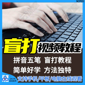 盲打不看键盘打字视频教学网课指法纠正零基础普通键盘私教版资料|淘宝虚拟仓
