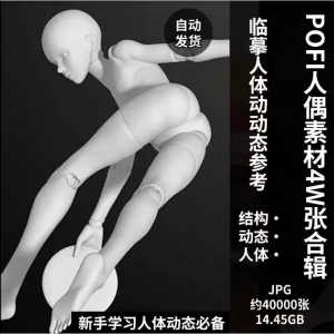 pofi无限人偶4W截图绘画素材pofi无线人偶人体动态学习素材临摹|淘宝虚拟仓