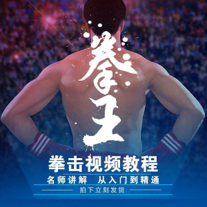拳击教学视频 自学教程 训练零基础运动入门健身搏击格斗武术课程|淘宝虚拟仓
