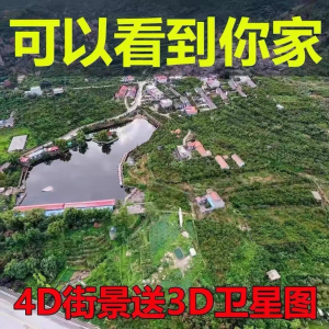 3D高清卫星地图影像2024图源导航定位3d立体地图手机永久免费|淘宝虚拟仓