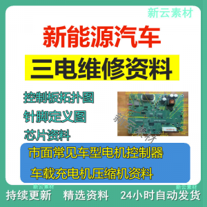 新能源汽车维修资料拓扑原理针脚图芯片三电控制器充电机压缩机|淘宝虚拟仓