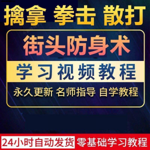 街头防身术擒拿拳击散打视频教程全套入门自学零基础学习教程视频|淘宝虚拟仓
