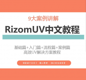RizomUV中文教程高效UV解决方案视频教学零基础入门自学软件入门|淘宝虚拟仓