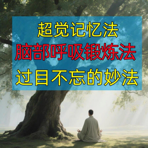 过目不忘修炼记忆力脑部呼吸锻炼法改造大脑健身气功养生训练方法|淘宝虚拟仓