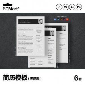 6套高级英文简历Word简历 ai psd设计师简历模板毕业生简历CV29|淘宝虚拟仓