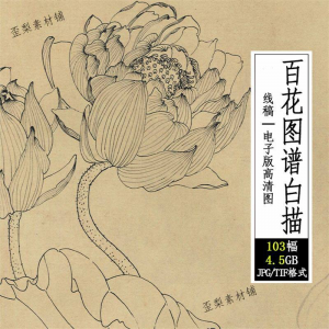 百花图谱白描线稿图集 国画花卉植103幅tif格式3.6G高清图片素材|淘宝虚拟仓