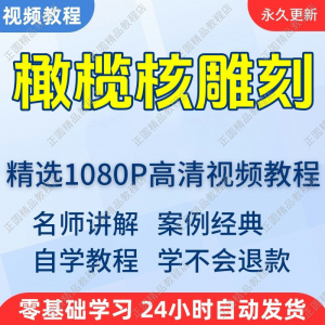 橄榄核雕刻视频学习教程新手自学零基础入门精通教学课程全集|淘宝虚拟仓