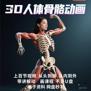 中医人体骨骼肌肉学习3D动态讲解演示视频自学零基础中医人体高考|淘宝虚拟仓