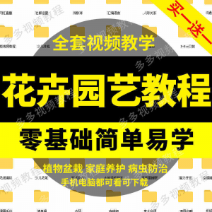 花卉园艺家庭养花盆栽苗圃栽培常识自学视频教程素材资料全套课程|淘宝虚拟仓