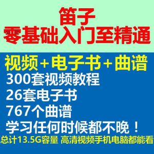 竹笛初学者曲谱入门课程笛零基础视频教学自零基础演奏电子版吹笛|淘宝虚拟仓